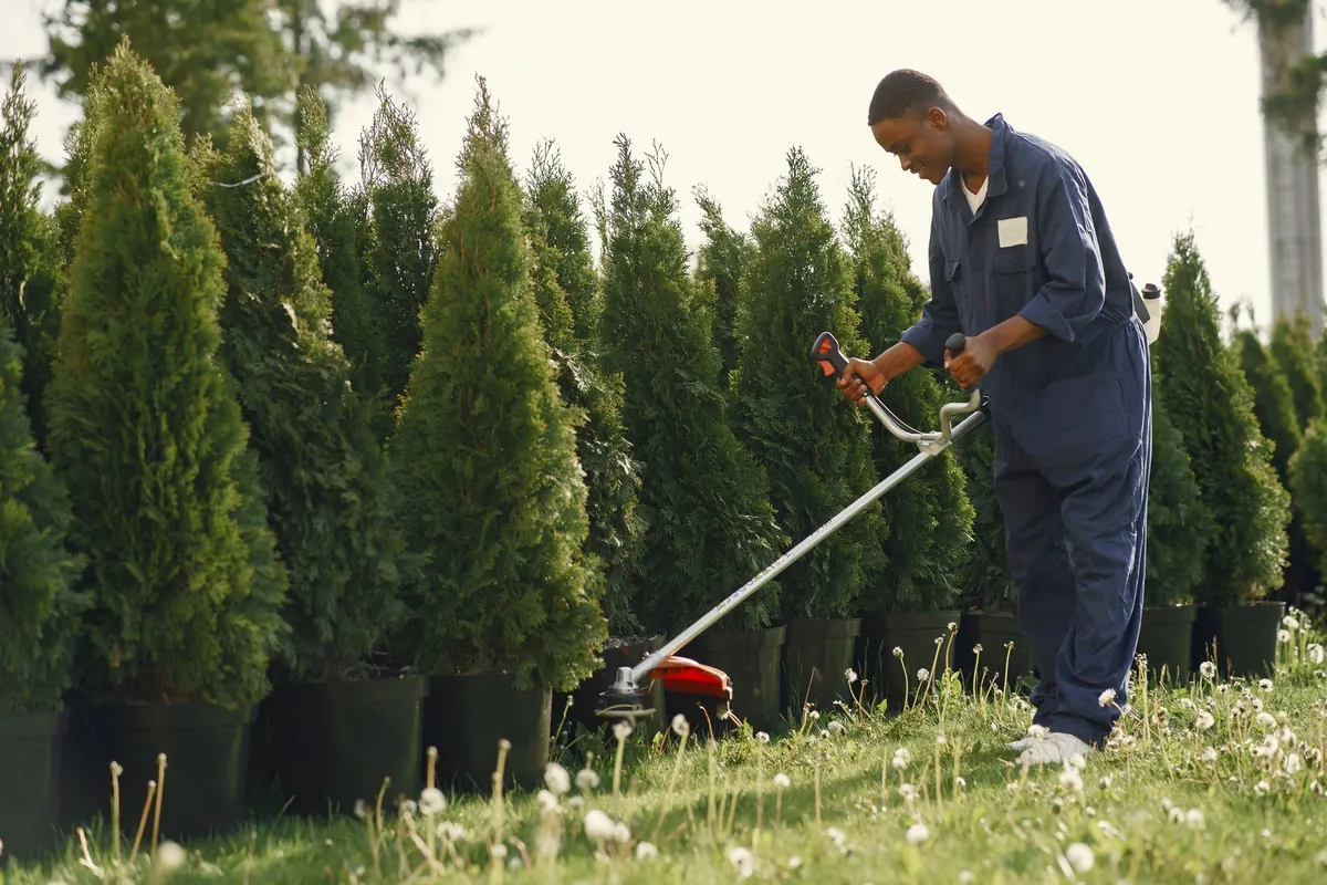 Crew member trimming a lawn edge